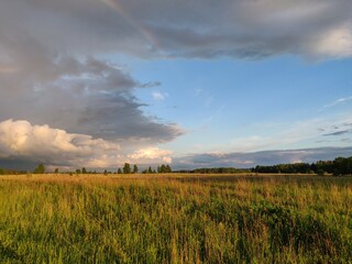 beautiful summer sunset over the field