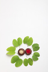 Dussehra greeting card using apta / Bauhinia racemosa