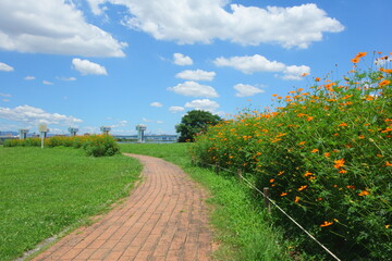 夏の河川公園