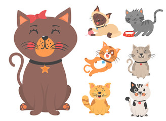 Fototapeta na wymiar Cute amusing pets kittens and cat characters.