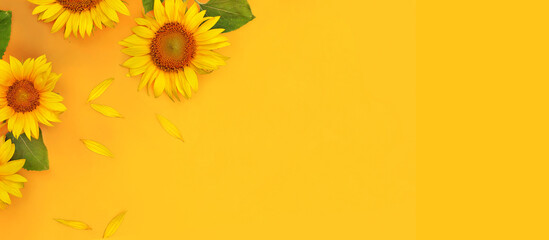 Sunflowers border on yellow background with copy space as concept of healthy lifestyle or proper nutrition for advertising banner, label, poster, postcard, invitation, sticker, etc.