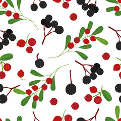 collection of red cranberry patterns. berry pattern. pattern with a jar of jam with green leaves on a white background
