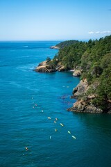 Kayakers in Puget Sound