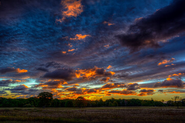 sunset in the field