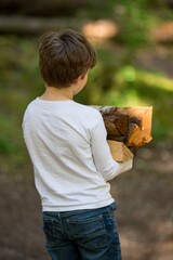 Child with firewood