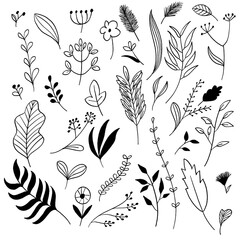 Fototapeta premium ボタニカルな植物のイラストセット
