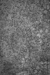 Dark blank texture wall surface background. Black concrete wall cement texture background