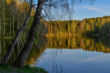 Obraz premium sunset at forest lake in spring Lesnoe reservoir, Moscow region, Russia