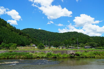 Obraz premium 夏の田舎の川