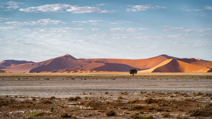 Towering sand dunes around Sossussvlei in the Namib-Naukluft National Park, Namibia, Africa.