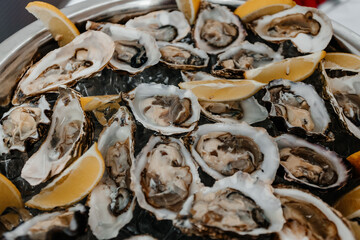 many oysters on ice with lemon