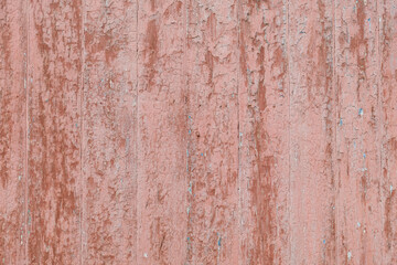 Old wooden door background. Vintage painted wood texture.