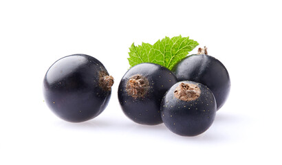 Currant with leaves in closeup on white background