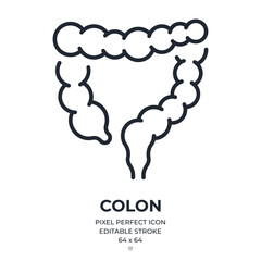Colon or large intestine editable stroke outline icon isolated on white background flat vector illustration. Pixel perfect. 64 x 64.