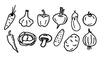 Vegetables set. Hand-drawn vegetables. Doodle vegetables. Vector doodle isolated on white background.
