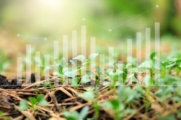 Statistics collection Analyze agricultural data with intelligent AI technology. Smart agriculture and mogern farming concept.