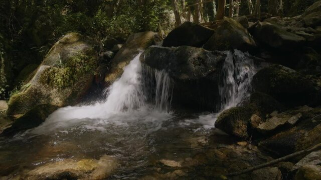 Torrente e cascata all'interno in Calabria