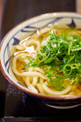Green onion on Japanese udon