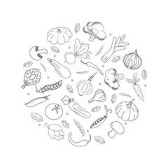 Doodle vegetables in circle. Black hand drawn vegetables on white background. Hand drawn vector illustration for fabric, textile, poster, wrapper, card, clothes