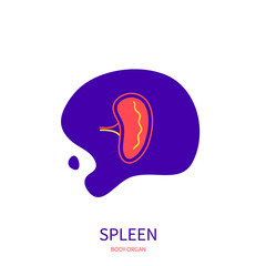 Spleen lymphatic system body organ outline icon on abstract geometric splash. Human anatomy medical symbol. Vector illustration.