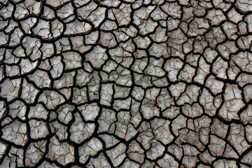 cracked dry ground background close up