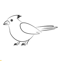 Bird Line Art Logo Design for Business and Companies