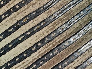 Agricole field with plastics rows 