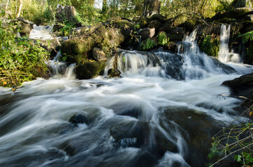 Fototapeta na wymiar imagen de larga exposición con efecto seda en el río entre las piedras y con los árboles de fondo