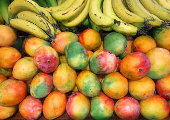 Bananas and mango. Fresh subtropical fruits for sale on farmers market 