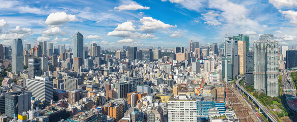 Fototapeta na wymiar Tokyo Japan, panorama city skyline at Tokyo downtown with skyscraper cityscape