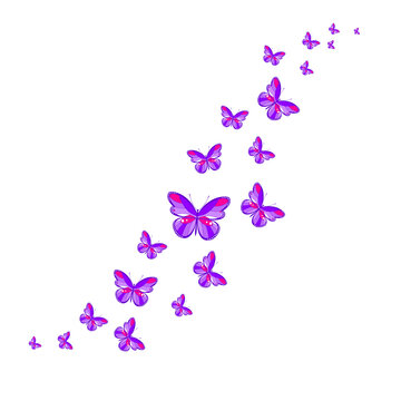 A flock of flying butterflies. Decoration for a postcard, packaging, website page. Vector illustration