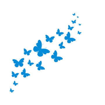A flock of flying butterflies. Decoration for a postcard, packaging, website page. Vector illustration