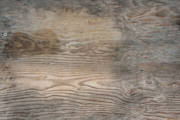 old wood texture