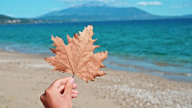 Woman holding dried leaf with Aegean sea on the background in Asprovalta, Greece