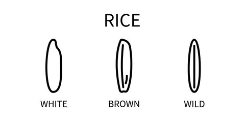 Line Icon Is White Wild Brown Rice In A Simple Style. Milk Of Vegetable Origin. Vector sign in a simple style isolated on a white background. Original size 64x64 pixels.