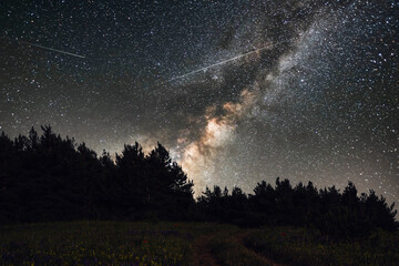 Beautiful bright milkyway galaxy in the daark forest. Starry sky, night landscpe. 