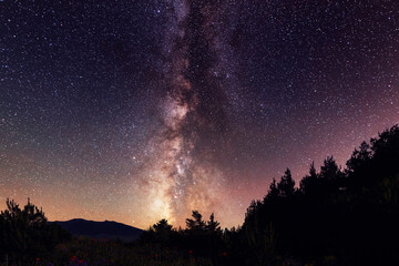 Beautiful bright milkyway galaxy in the daark forest. Starry sky, night landscpe. 