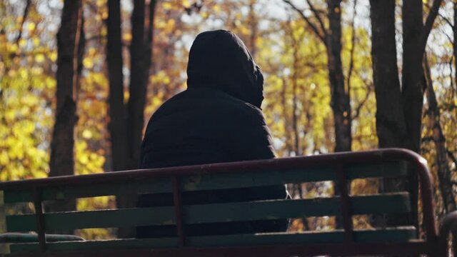 Fall. Lonely man in hooded jacket is sitting on bench in park. Orange maple leaves fall from trees. Autumn. Loneliness, sadness concept. Broken heart. End of summer. Waiting. September, october