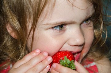 little child 3 years old. girl eating juicy red strawberry, face foreground