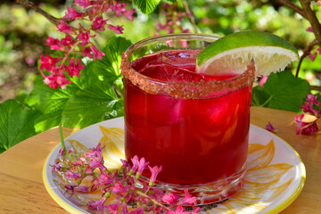Maroon Tequila and beet cocktail on flower Currant background