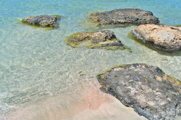 Stones in algae on the paradise sandy shore. 