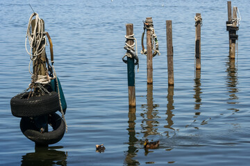 Naklejka premium Küste