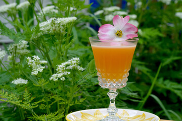 Tiki inspired rum cocktail with flower Dogwood blossom