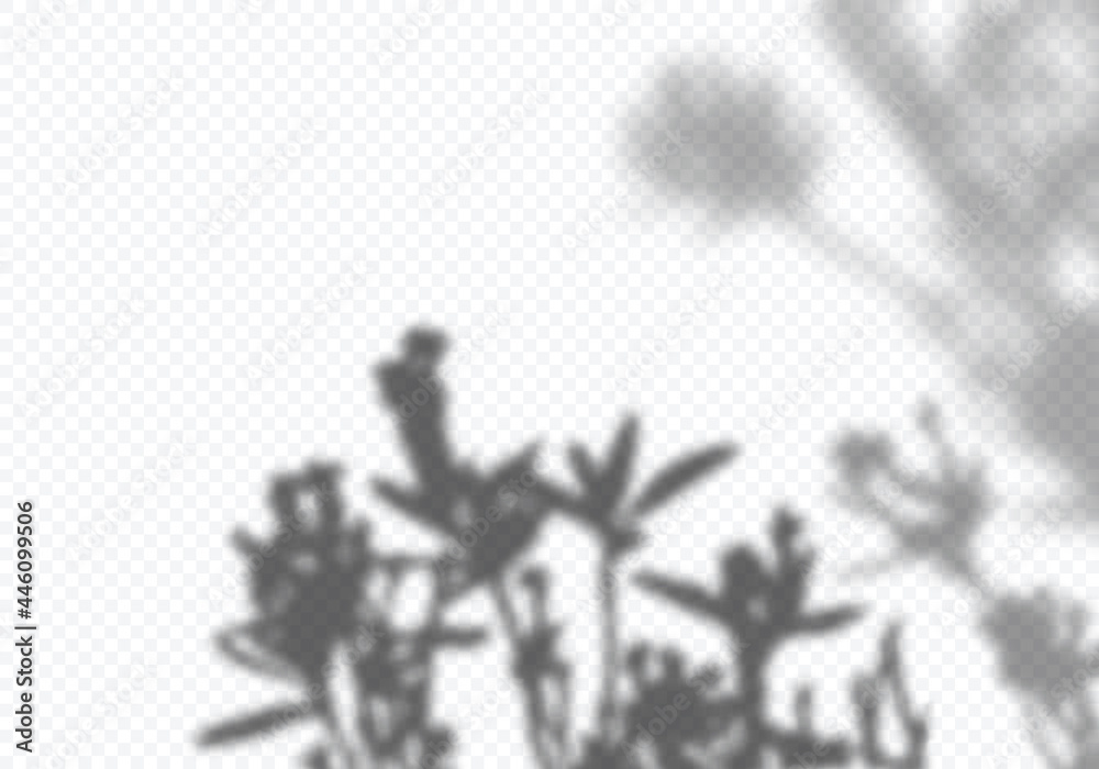 Poster realistic shadow of tree leaves. minimalist plant overlay effect. vector gray shade of flower shadow