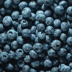 Blueberries close-up - top view