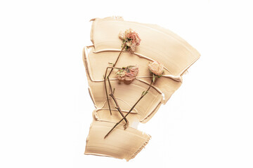 dried rose flowers on smears of beige paint