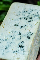 Close up blue cheese roquefort gorgonzola or dorblu stilton dairy product made from goat sheep or cow milk roquefort, cambozola, Food recipe background