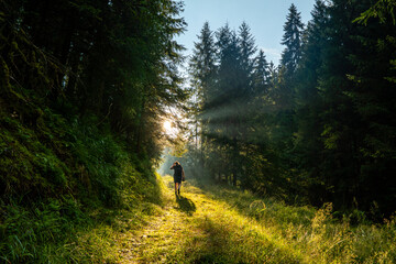 Fototapeta premium hike towards the sun