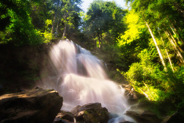 waterfall in the forest