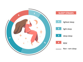 Sleep stages: lightest, light, deep sleep, REM. A nice young woman sleeps and dreams. A healthy, proper dream. Flat cartoon colorful illustration - eps10 vector. - obrazy, fototapety, plakaty